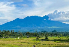 Ini Pesona yang Tersembunyi di Gunung Sago! Ada Danau Tingga di Puncaknya