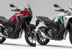Review Honda New NX500 2026: Motor Adventure yang Makin Canggih, Benarkah Layak Jadi Pilihan Terbaik!