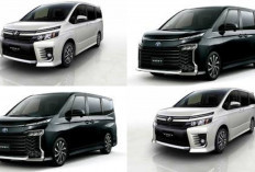 Ini Dia Pilihan MPV Cocok Buat Mudik, Toyota Voxy 2020 Segini Harganya Ditahun 2026!