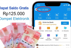 Jangan Lewatkan! Dapatkan Saldo DANA Rp125.000 Hanya dengan Isi Kuisioner!