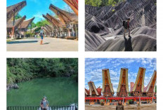 Toraja dalam Lensa Wisatawan, Jelajahi 5 Destinasi Wisata Toraja yang Tak Terlupakan