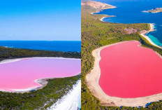 Kalian Sudah Tahu? Fakta Menarik Tentang Lake Hillier Keunikan dan Misteri Danau Merah Muda