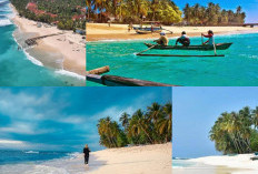 Pantai Tanjung Setia, Keindahan Pantai yang Wajib Dikunjungi di Pesisir Barat Lampung!