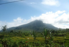 Surga Tersembunyi untuk Pendaki di Maluku Utara, Pendakian Seru Gunung Pinapan!