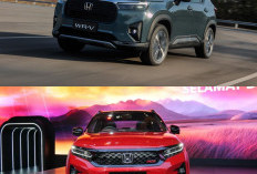 Honda WR-V 2026 Disebut Paling Stylish di Kelas SUV Kompak