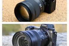 5 Kamera Nikon Favorit dengan Ketajaman Gambar Terbaik untuk Pengguna Serius!