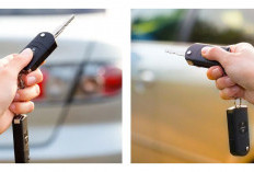 Rahasia Heningkan Alarm Mobil yang Berisik, Panduan Praktis Anti Bikin Tetangga Kesal
