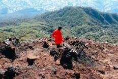 WOW! Wajib Dikunjungi, Rasakan Alam dan Keindahan Alam Gunung Slamet Puncak Tertinggi Kedua di Pulau Jawa