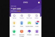 OVO Tidak Bisa Transfer? Ketahui 5 Penyebab Utama dan Cara Mengatasinya