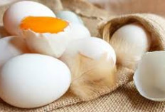 Sumber Zat Besi Alami! Yuk Intip 5 Kunci Kesehatan Darah Dari Telur Bebek