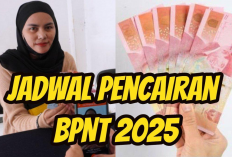 Bansos BPNT 2025 Sudah Tiba! Cek NIK KTP dan Dapatkan Saldo OVO Rp 600 Ribu!