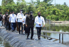 Ini 5 Daerah Penghasil Air Tebersih di Indonesia, Salahsatunya Taman Nasional Gunung Leuser