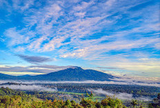 Melintasi Keindahan dan Mitos: Pendakian Gunung Pesagi