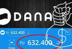 Melihat Koin Top Rich, Cara Mendapatkan Saldo Dana Tambahan dengan Cepat dan Mudah