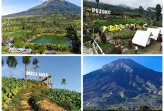 10 Tempat Wisata di Temanggung: Kota Asri dan Sejuk, Wajib Dikunjungi Saat Penat!!