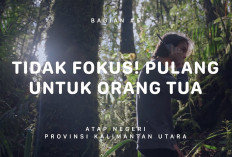 Melihat Keindahan dari Puncak Gunung Harun: Pesona Alam yang Memikat Hati