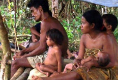 Menakjubkan! Ternyata Ini Sejarah Suku Kubu di Indonesia, Habitat Tradisional di Pedalaman Sumatera