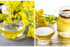 Wajib Diketahui! 5 Manfaat Kanola Oil untuk Kecantikan dan Kesehatan 