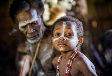 Menarik Banget, Ini Perbedaan Antara Suku Papua dan Kalimantan! Ada Apa Yah?