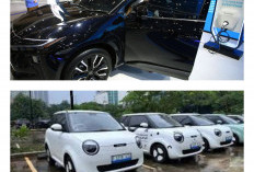 Lawan Arus! Sebelum Regulasi EV Diketuk, Changan Nekat Bocorkan Harga Lumin yang Bikin Heboh.