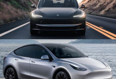 Tesla Luncurkan Mobil Listrik Murah, Kompetisi Makin Sengit