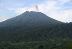 Menyusuri dan Melihat Keindahan Alam Gunung Slamet Puncak Tertinggi Kedua di Pulau Jawa