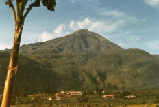 Ini Misteri Larangan Pendakian Gunung Lawu, Apakah Mitos atau Kenyataan? 