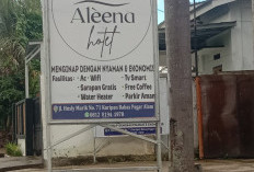 Hotel Aleena Ada 8 Kamar