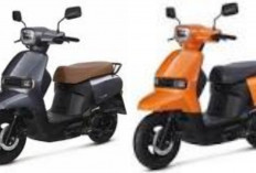 Harga Terbaru Juli 2026 Suzuki SUI Terungkap Segini Banderolnya Simak Spesifikasi Yang Jarang Diketahui!