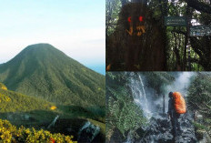 Pendaki Simak! Misteri Gunung Gede Keindahan Alam dan Cerita Mistis yang Menyertainya