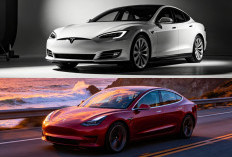 Tesla Hadir Lebih Terjangkau! Harga Makin Merakyat, Teknologi Mewah Tetap Utuh