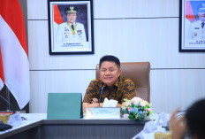 Bentuk Satgas, Awasi Distribusi BBM Subsidi