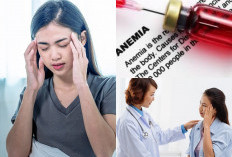 Apa Itu Anemia? Catat Inilah 5 Tips Perawatan Diri Untuk Mengatasi Anemia dan Meningkatkan Kesehatan