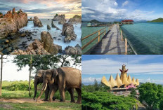 5 Rekomendasi Wisata lampung yang sayang untuk kalian lewatkan!