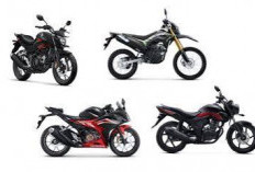 Bongkar Rahasia Honda CB150X 2026: Mengapa Motor Ini Jadi Pilihan Utama Kurir Logistik & Pecinta Touring