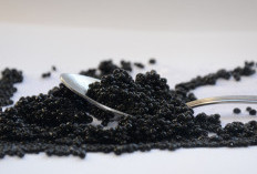 Sudah Kalian Simak? Ternyata Ini 5 Sensasi Kuliner Tertinggi Mencicipi Kelezatan Hidangan Caviar
