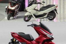 Honda PCX 160 Street 2026 Resmi Mengaspal: Tampilan Lebih Garang, Harga Februari 2026 Bikin Melongo!