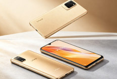 Vivo Y19s: Ponsel Andal dengan Ketahanan Luar Biasa, Spesifikasi Lengkap dan Harga Terbaru Juli 2026!