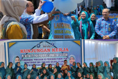 PKK Kelurahan Dempo Makmur, Launching Sekolah Lansia