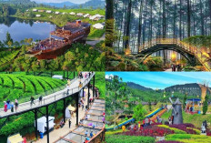 6 Tempat Wisata Viral di Bandung yang Wajib kalian kunjungi di tahun 2025! 