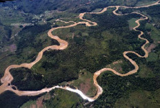 Melihat Sungai Kapuas, Jalur Perdagangan dan Pelangi Suku di Pontianak