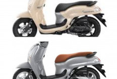 Spesifikasi dan Harga Honda Scoopy Stylish Grey 2026: Update Fitur LED, Smart Key System, dan Keunggulan 