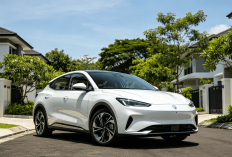 BYD Dolphin Resmi Mendarat di Indonesia, Jadi Mobil Listrik Paling Terjangkau?