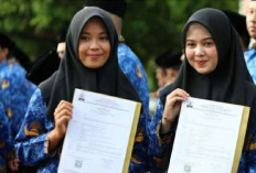 PPPK Paruh Waktu Kerja Dulu Gaji Belakangan