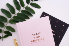 Bosan dan Burnout? Ini Solusi Kreatif yang Bikin Kamu Produktif Lagi!