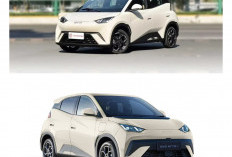 Sering Terabaikan, Ternyata BYD Atto 1 Punya Kelebihan yang Tak Dimiliki Mobil Listrik Mahal!