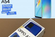 Kenapa Oppo A54 Masih Populer di 2026? Ini Jawaban Lengkapnya