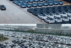 Yuk Intip Negara yang Paling Ramai Dipenuhi Mobil Listrik