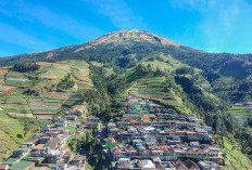 Ekspedisi Gunung Sumbing: Keindahan Alam dari Butuh Kaliangkrik