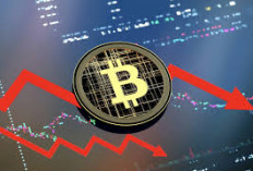 Mengapa Harga Bitcoin Turun?, 5 Penyebab yang Mendasarinya